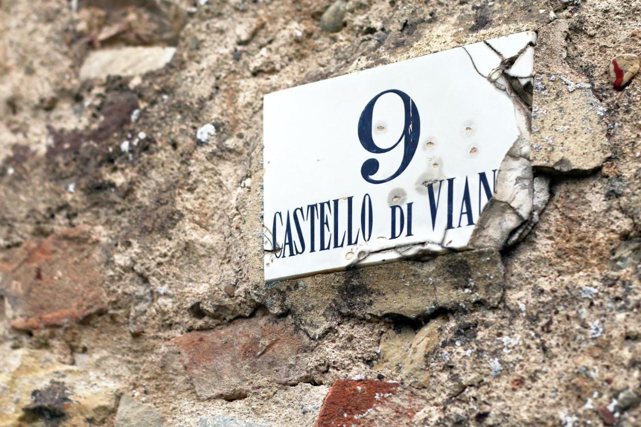 Castello Di Viano Exterior foto
