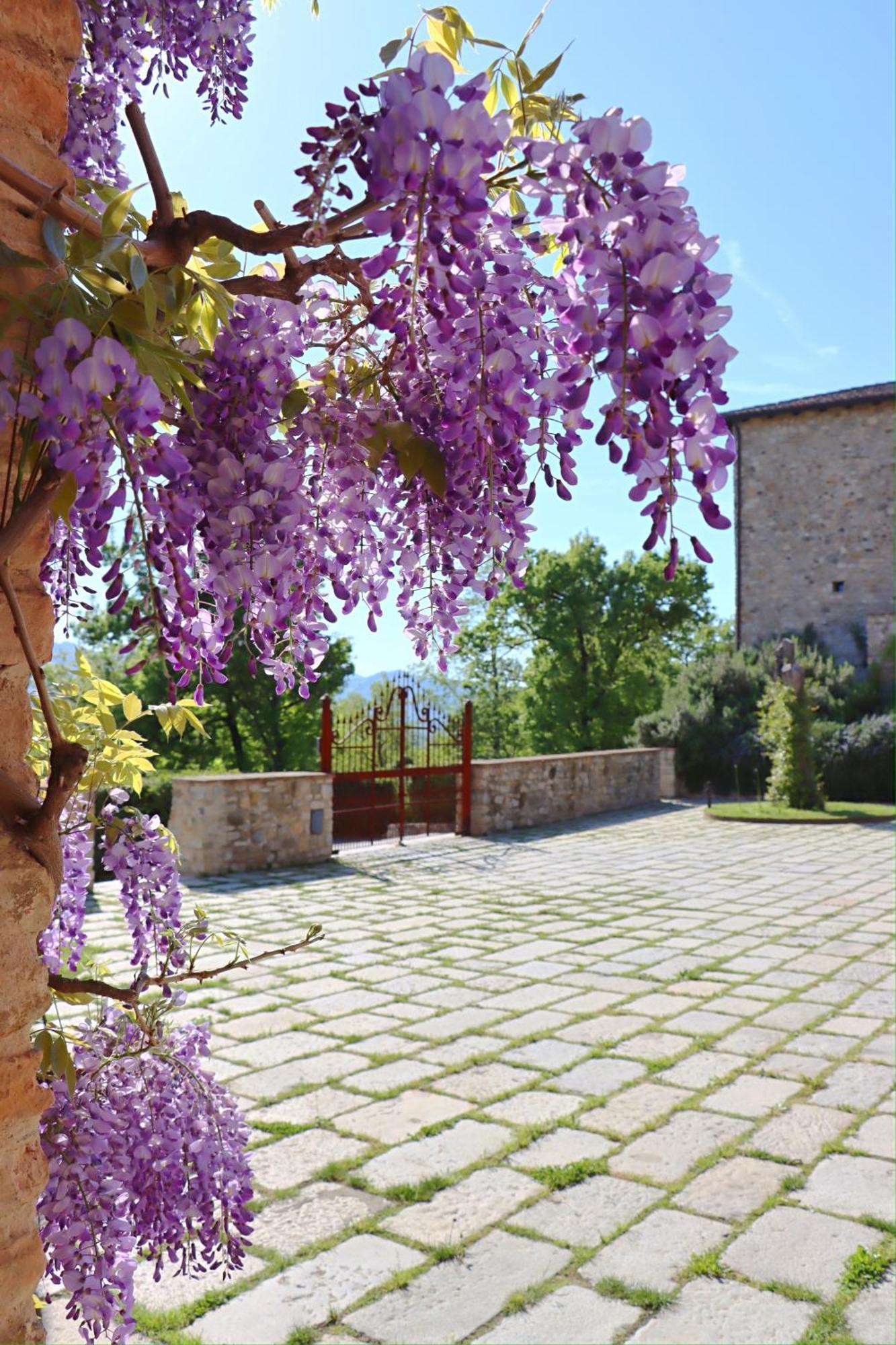 Castello Di Viano Exterior foto