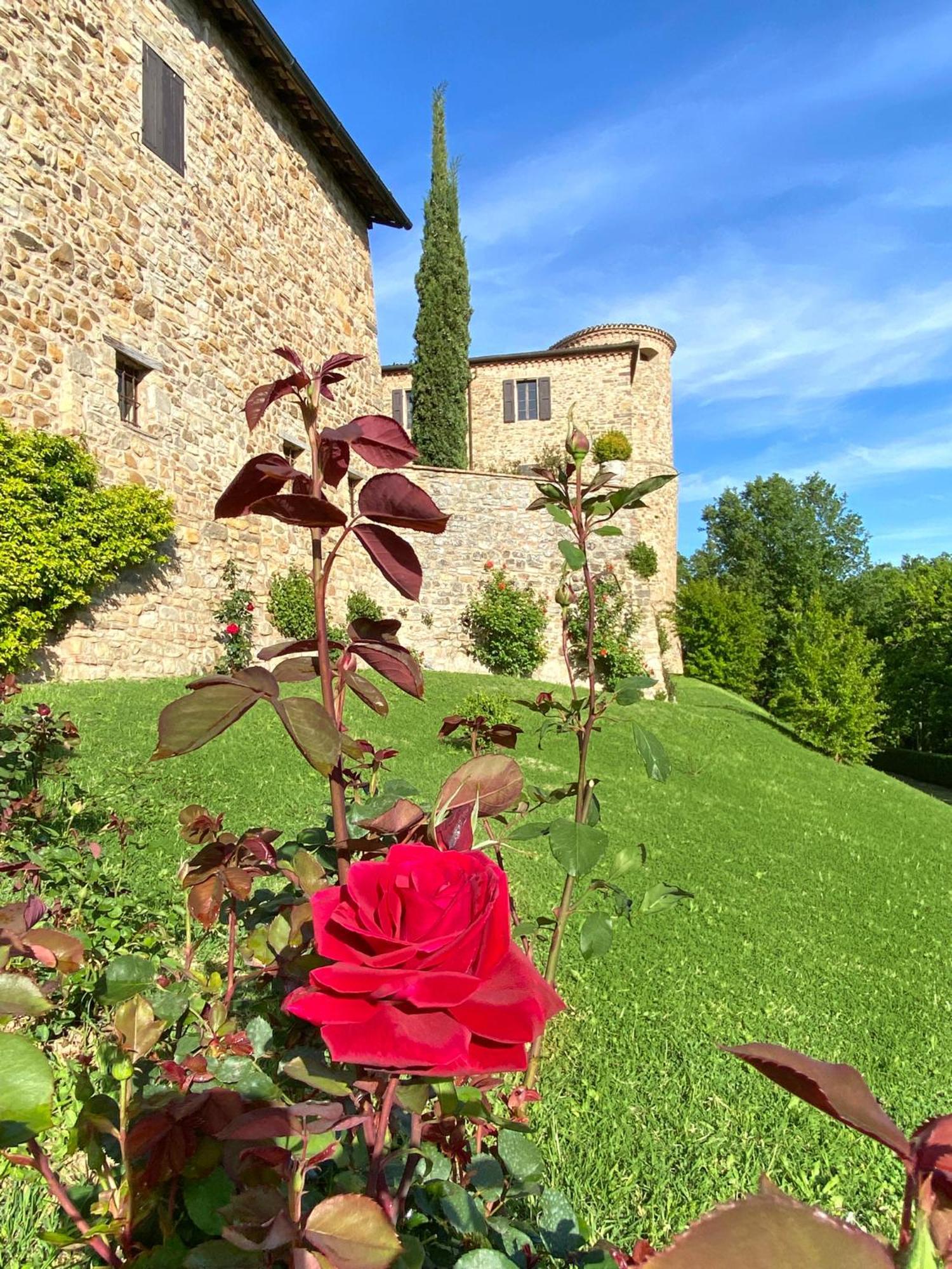 Castello Di Viano Exterior foto