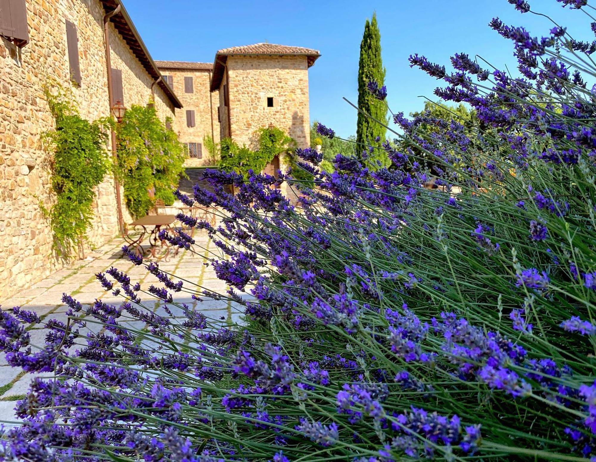 Castello Di Viano Exterior foto